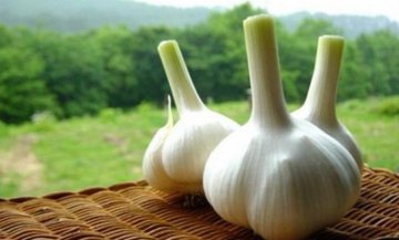 给宝宝吃点“味冲”食物