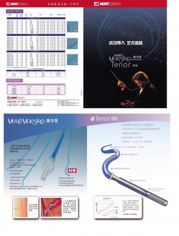导丝、微导管-Tenor、Maestro官方高清创意广告()