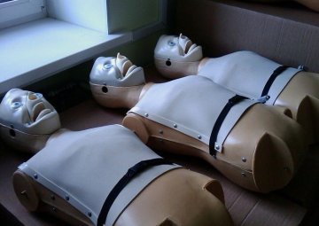 揭秘医用人体模型制作全过程