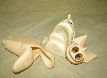 揭秘医用人体模型制作全过程