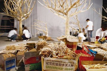 一次性筷子导致亚洲大面积森林遭砍伐