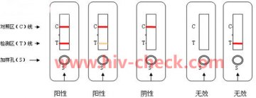 艾滋病检测试纸购买与使用方法