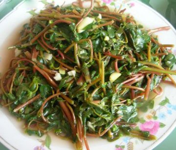养生食材，适合自己才是最好的