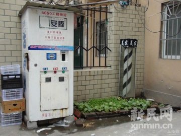 自动售水机卫生状况堪忧 有关部门承认缺监管
