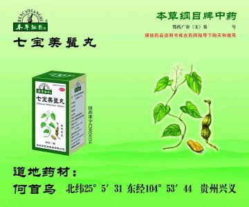 七宝美髯丸-官方高清创意广告(鄂药广审(文)第2013010022号)