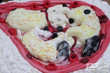 最逼真的重口味医学蛋糕