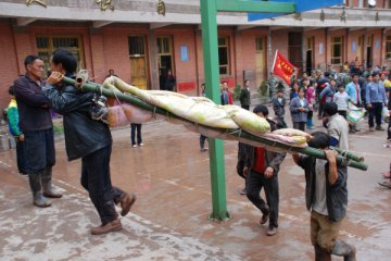 “红十字”方队的生命大接力——武警云南总队医院官兵野外搭建手术台成功救治重伤地震伤员侧记