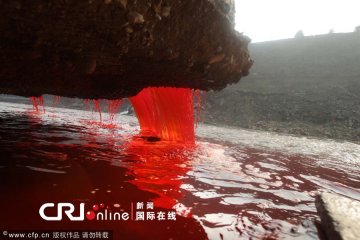 河南洛阳涧河河水变成血红色 又是污染？