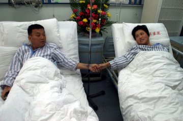 一只健康肝的旅行