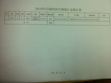 2014年5月临时医疗救助汇总统计表
