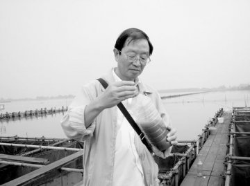 小藻类贡献大环境