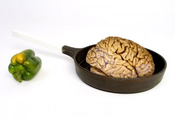 世界卫生组织：手机可能提高脑癌发病机率