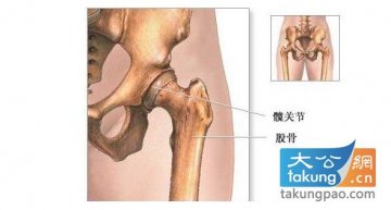 人体26个最奇妙的事实