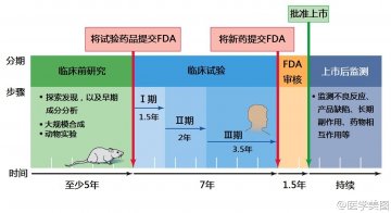 信息图：新药上市过程
