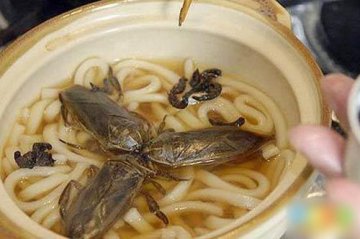 荷兰人制昆虫食谱 巧克力松饼可添加蠕虫