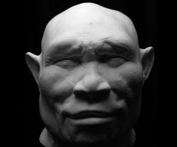 直立人生活在100万年前