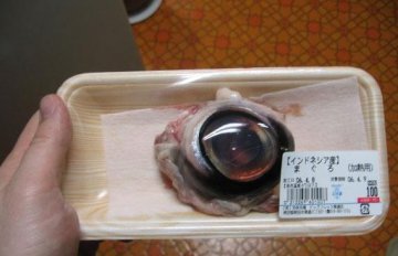 另类美食大盘点 你敢吃吗