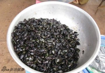 防癌神仙汤引争议 稀奇古怪食物盘点