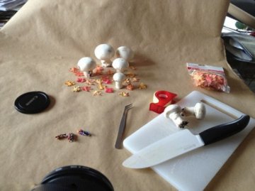 食材创作小人国受热捧