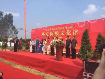 鲁润药业华夏阿胶文化馆奠基