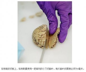 高清解析人脑解剖全过程