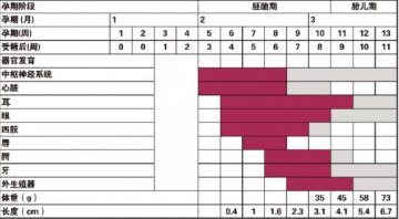 孕期用药：把住安全制高点