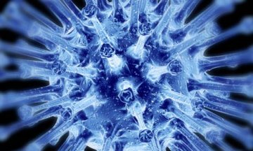 英国科学家成功试验出“万能”流感疫苗