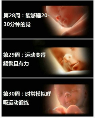 生命的史诗！人类从受精到出生全过程