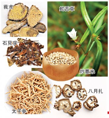 中医多方位调治肺癌 针灸食疗相应和