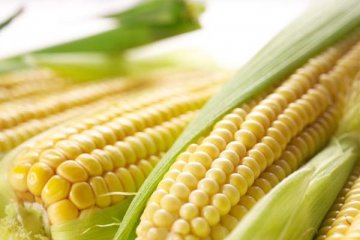 饮食养生：8种食物能帮你“疏通”血管