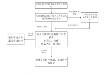 城乡大病医疗救助流程图