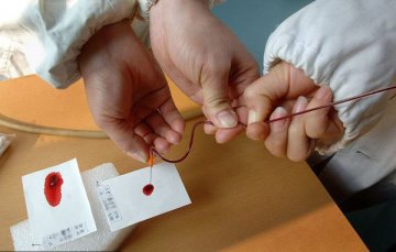 实拍：DNA亲子鉴定全过程