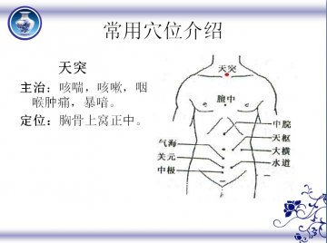 冬病夏治 三伏贴常用穴位介绍