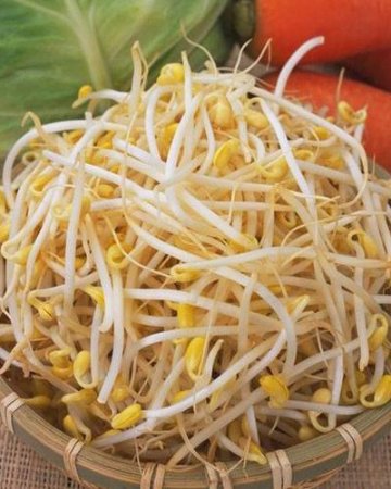 吃14种家常食物易中毒身亡 看看你常吃吗？