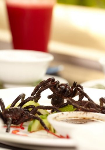 一生必尝20种奇怪食物
