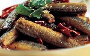 健康指南：关注养生 补充九种食物让你养全身