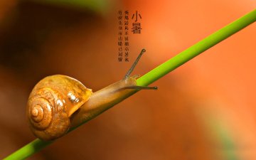 小暑过后的养生之道