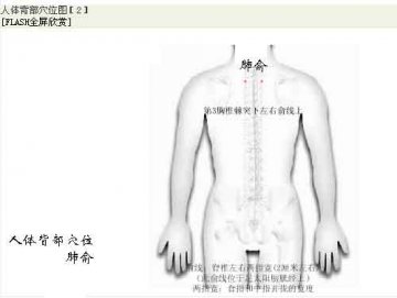 人体背部穴位 肺俞
