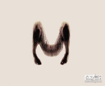人体探秘：女性裸体与解剖学之美