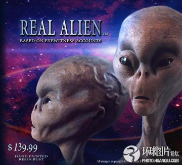 全球匪夷所思的另类课程