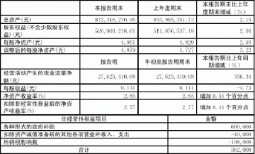 广东康美药业股份有限公司2005第一季度报告（节录）