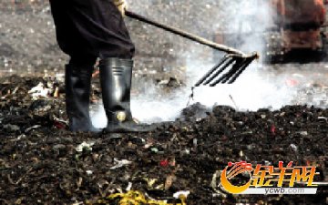番禺有四家垃圾简易焚烧厂 众居民苦不堪言