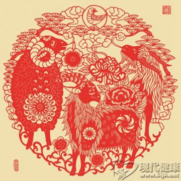 护理春节胃 首选帝泊洱