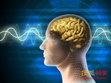 美科学家发现人类大脑在睡眠中能增强记忆