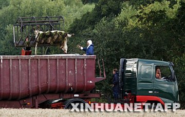 英国又一农场出现疑似口蹄疫