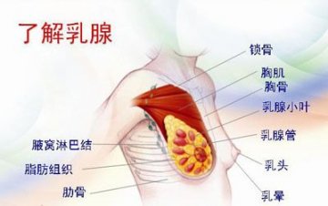 军医提醒：切莫小觑乳腺增生