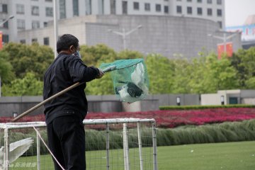 8.鸽子被网兜装起