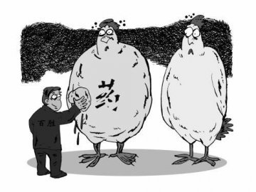 “药鸡”事件曝监管乏力：养鸡场称3年未被抽检过