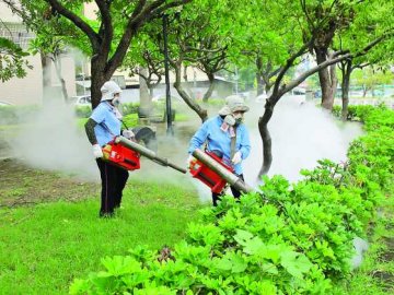 台登革热夺25命