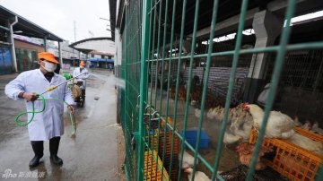 6、上海三官堂活禽交易市场，工作人员进行消毒